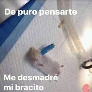 Meet your Posher, Odalis